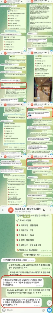 다낭P플러스 3인 풀빌라 패키지 애플스파 럭셔리이발관 가라오케 실시간 케어 카카오톡 2025년 5월
